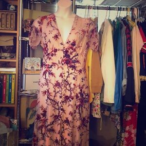 Willow and clay button front velvet maxi dress